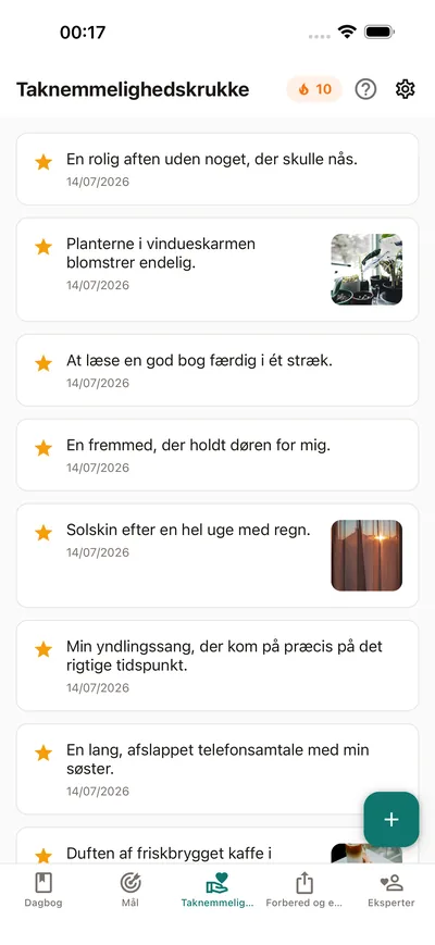Saml dine små glæder — BrightLog