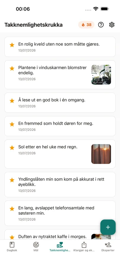 Samle de små gledene dine — BrightLog