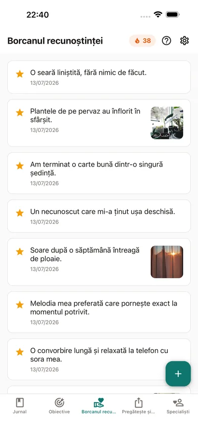 Adună-ți micile bucurii — BrightLog