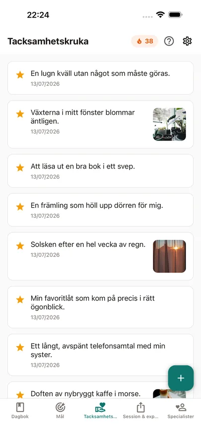 Samla dina små glädjeämnen — BrightLog