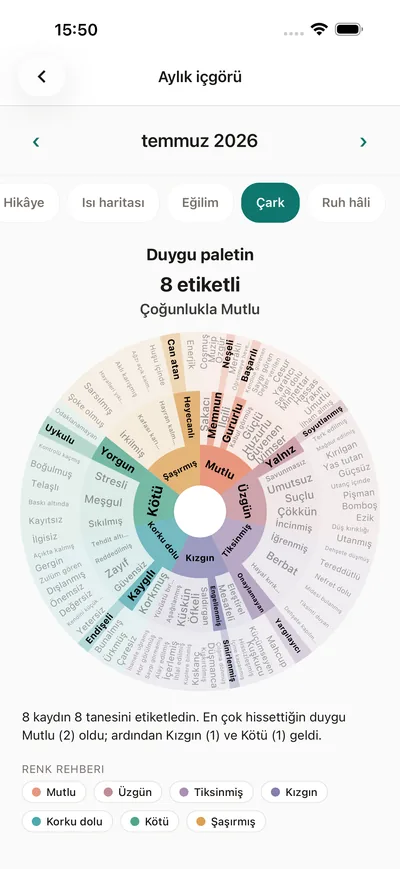 BrightLog’un analiz ekranında, kişisel duygu paleti olarak uygulamadaki duygu çarkı